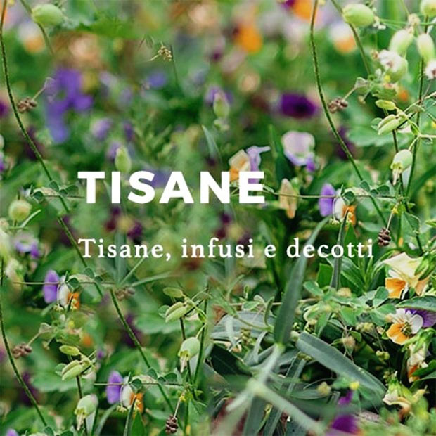 tisane infusi e decotti